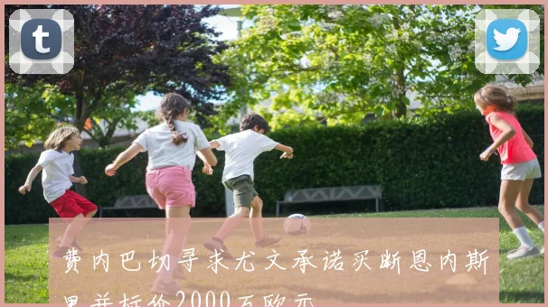 费内巴切寻求尤文承诺买断恩内斯里并标价2000万欧元